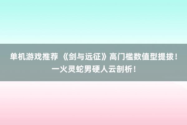 单机游戏推荐 《剑与远征》高门槛数值型提拔！一火灵蛇男硬人云剖析！