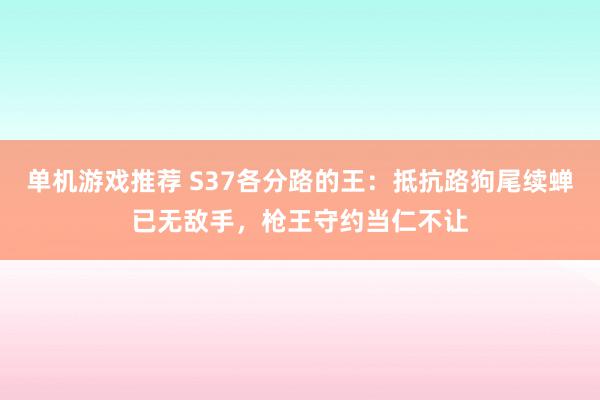 单机游戏推荐 S37各分路的王：抵抗路狗尾续蝉已无敌手，枪王守约当仁不让